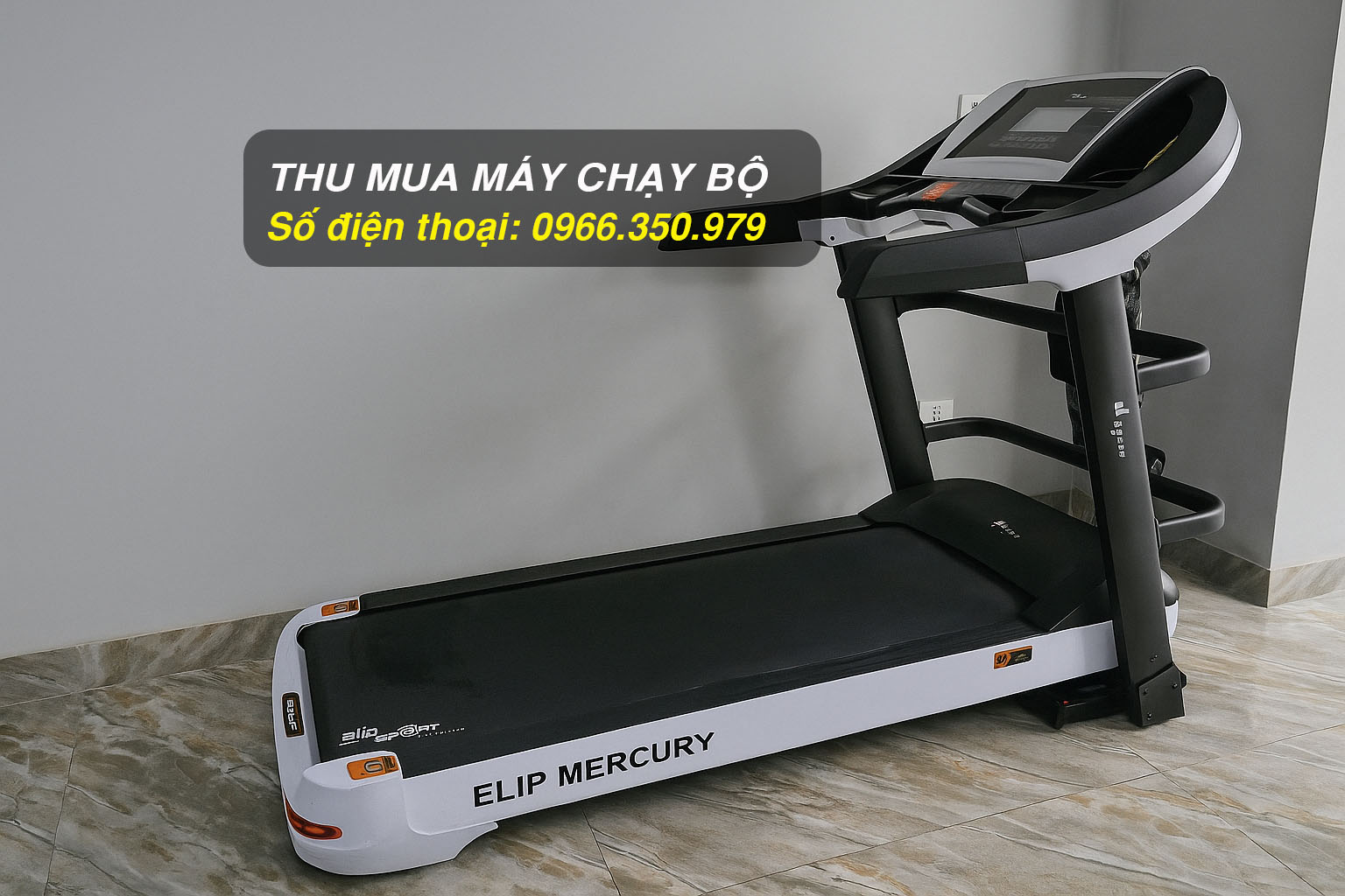 Thu mua máy chạy bộ Elip Mercury